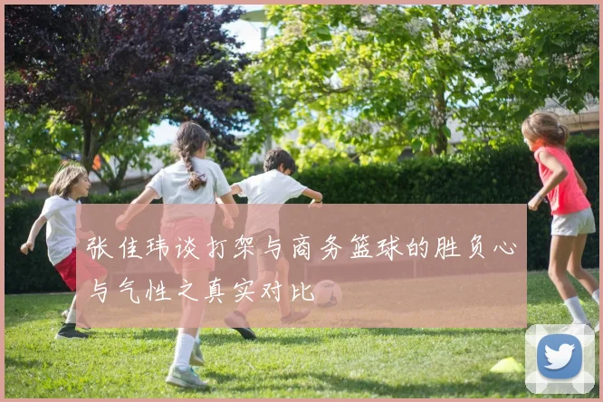 张佳玮谈打架与商务篮球的胜负心与气性之真实对比