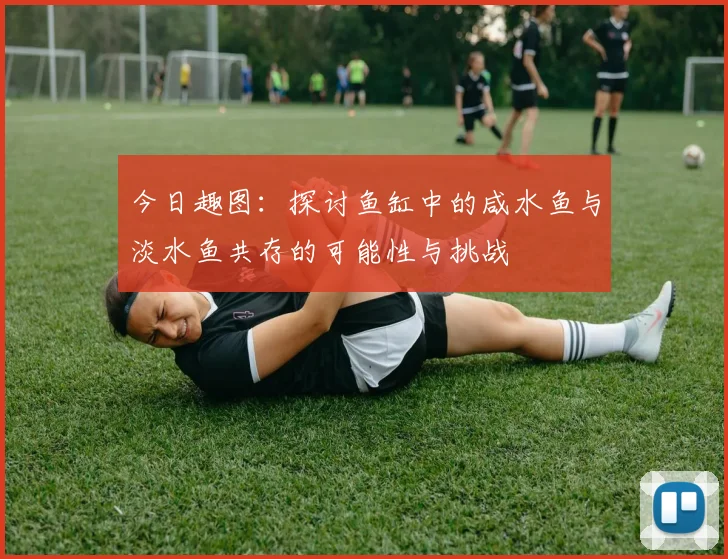 今日趣图：探讨鱼缸中的咸水鱼与淡水鱼共存的可能性与挑战