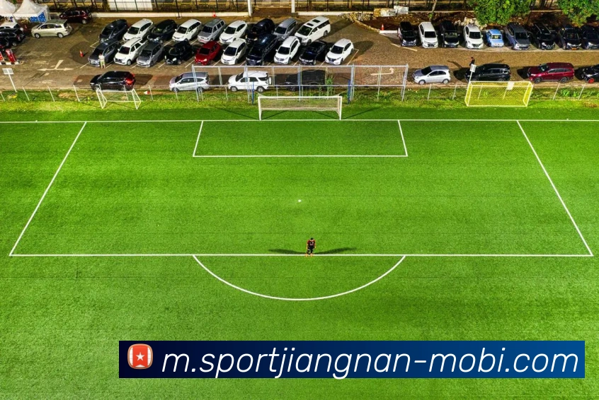 江南体育平台生态图