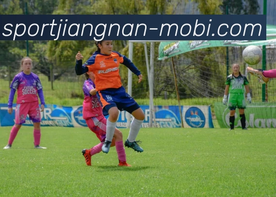 江南体育APP 封面图